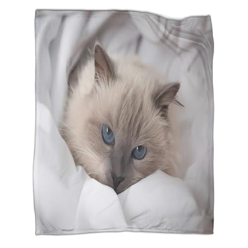 Couverture antistatique et lavable plaid microfibre doux imprimé chat - 3