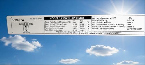Image of ReNew 620 Watt Ntype TOP-CON Dual Glass Bifacial Solar Panel