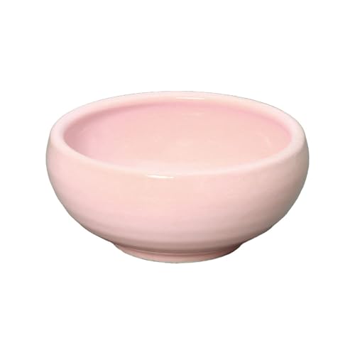 炵̍ʂ  qǂH ₷  a10cm 150ml {  攫 dqWΉ H@Ή sN