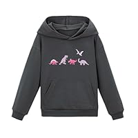WELAKEN Dinosaur Print Hoodie Sweatshirts for Girls Toddler & Kids II Little Girl's Long Sleeve Pullover Tops,Grey,5T