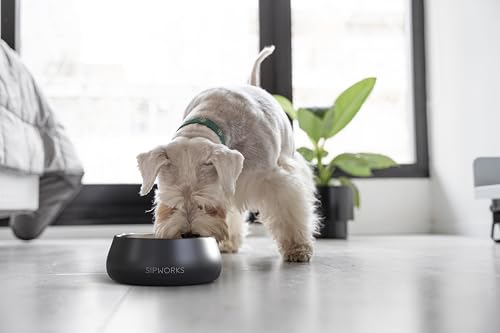 Sipworks Stainless Steel Dog Bowl – 32oz Weighted Metal Food and Water Bowls for Dogs and Cats with Non-Slip Base - Pet Bowls for All Breeds Sizes for Travel & Outdoor Play - Steel - Image 4