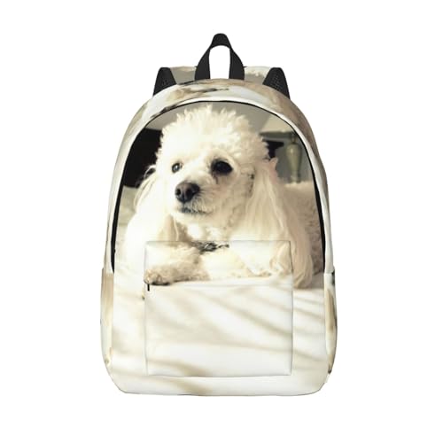 Sac à dos voyage caniche français EdWal ergonomique pour PC