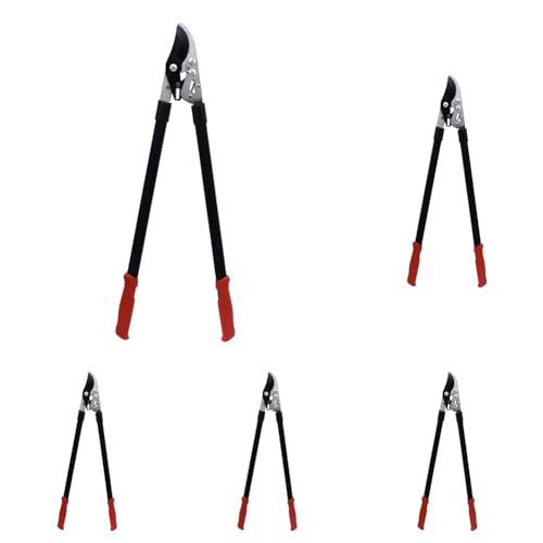 V(Takagi) `Fbg} (× 5)