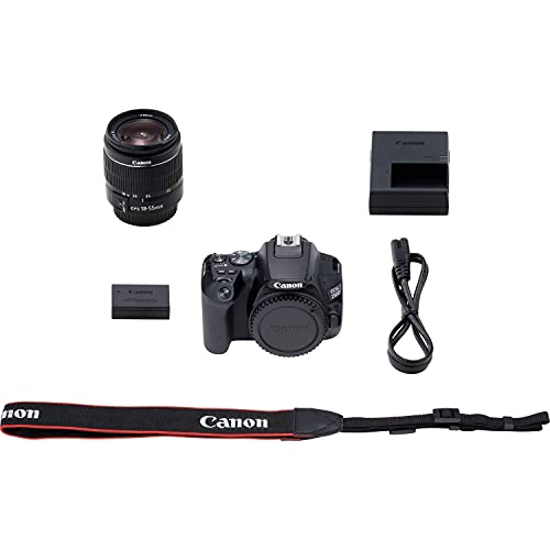 Canon Eos 250D / Rebel Sl3 Dslr Camera With 18-55Mm Lens + Creative Filter Set, Eos Camera Bag + Sandisk Ultra 64Gb Card + 6Ave Electronics Cleaning Set, And More (International Model) (Renewed) #TOP5