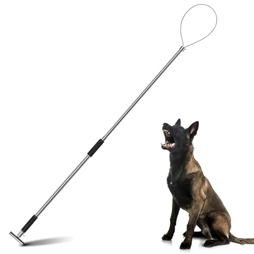 ZHEQOGZH Dog Catcher Pole 61 Inches - Animal Catch Pole Heavy Duty Stainless Steel Catch and Release Pole for Cats Dogs Hogs and Pigs - Animal Control Tools