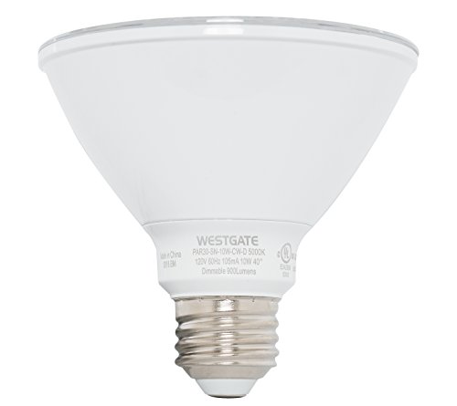 Westgate Short Neck LED Lamp, PAR30, 13Watt, 5000K