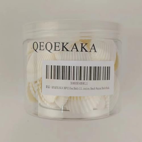 QEQEKAKA 30PCS Sea Shells 1.5\'\'-2\'\' White Small Sea Shells, for Shells for Crafts, Crafts DIY Painting Beaching Wedding Decoration, Beach Natural Shells Bulk - Thumbnail 6