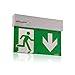 Produktbild Notleuchte Rettungszeichenleuchte Brandschutz-Zeichen Notausgang, LED, IP 40 mit Akku, Aluminium für Deckenaufbau geeignet, Notlicht 3h, inkl. Piktogrammset