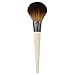 EcoTools Large Powder Brush, Made with Recycled and Sustainable Materials, Cruelty Free Synthetic Taklon Bristles, Aluminum Ferrule, Recycled Packaging