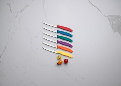 Catálogo de Victorinox Swiss los mejores 5. 29 Imagen adicional