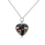 ERSTSNCK Pet Urn Necklace for Ashes Doberman Heart-Shaped Memorial Pendant with Filling Kit 27.6' Adjustable Chain Cremation Keepsake Jewelry for Dog Cat Sympathy Gift for Pets Lovers