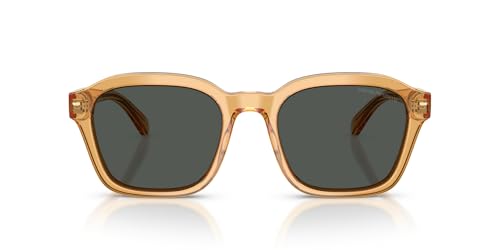 OAKLEY(�I�[�N���[) EMPORIO ARMANI 0EA4245U 62468754 SHINY TRANSPARENT YELLOW DARK GREY