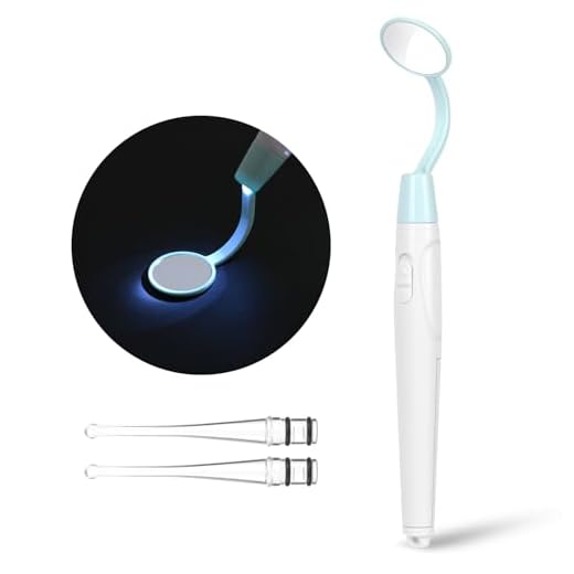Flintronic Mundspiegel mit LED-Licht, Oral Dental Mirror, Antibeschlag Dentalspiegel mit 2 Beleuchtungsmodi, Mund Zahn Inspektion Spiegel, Wiederverwendbare LED Zahnpflegespiegel für Zahnpflege