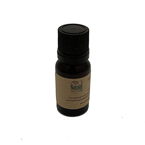 1/3 oz Birthday Cake Oil