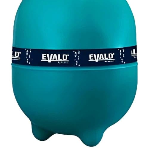 Filtro para Piscina Dfr-15 Para bomba de 1/2 Cv Evald by Dancor