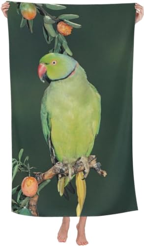 ȃoX^ICR1H킢 _炩G蒴ב@ۂ̉ƒpz RۖhL 炩oX^I ƒ AEghAׂ͂ēKp܂