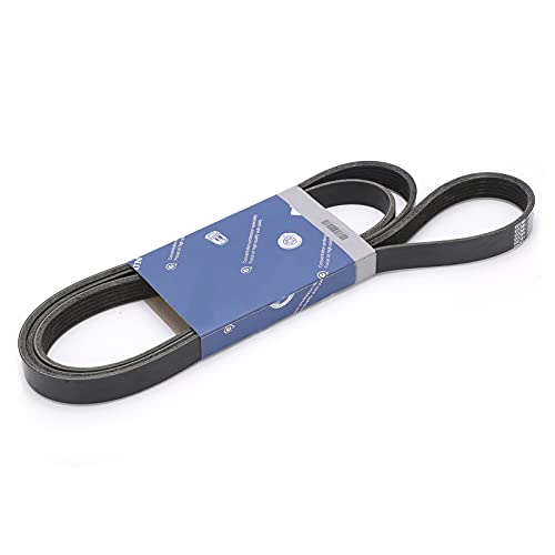 Correa serpentina de caucho sintético duradero compatible con Cherokee XJ 2.5
