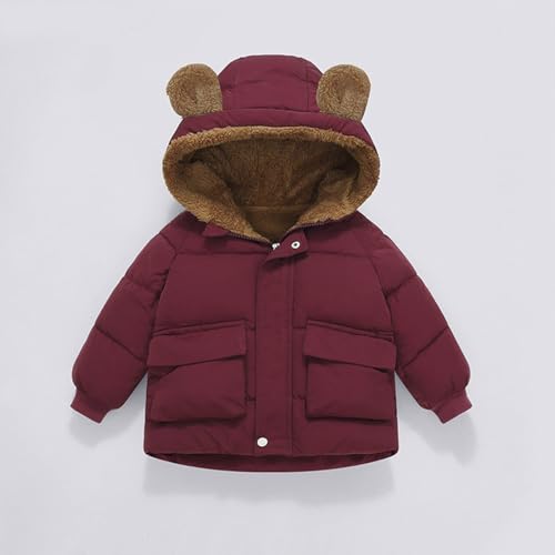 Kids Girls Fleece Lined Hooded Puffer Jacket Bear Ears Zipper Solid Color Padded Coat Toddler Boys Cute Puffy Clothes3
