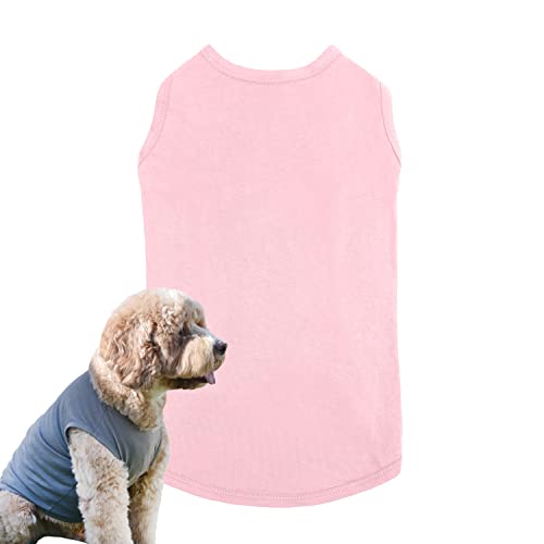 Amazon Best Sellers Best Sports Fan Pet TShirts