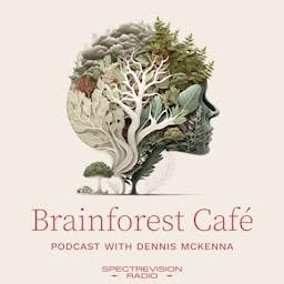 『Brainforest Caf&eacute;』のカバーアート