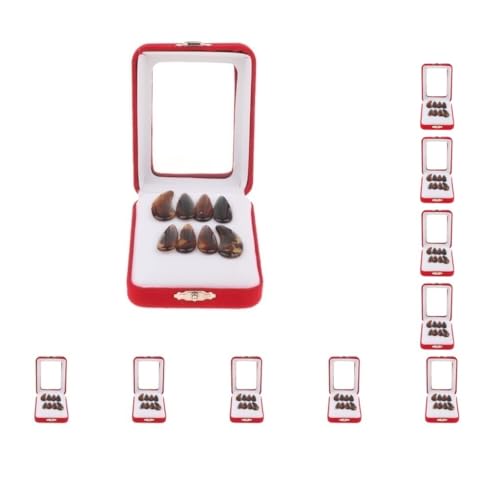 10̃Zbg1pbNⶃtBK[sbNƍaƉ~ʓAB̐^