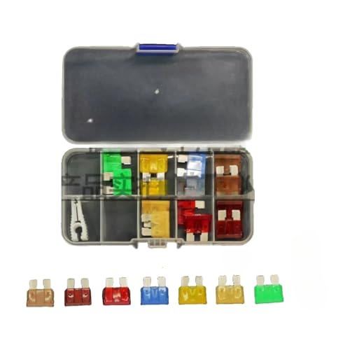 Fusible de voiture 10A 15A 20A 30A en lot de 100 pièces de taille moyenne pour circuits électriques