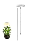 Vasta applicazione: migliora il tuo spazio con questa pianta crescere la luce. Non è una lampada, ma anche una straordinaria pezzo decorativo che crea un'atmosfera accogliente. per gli appassionati di piante, è adatto a diverse occasioni come soggiorni, camere da letto, balconi e aziende. È anche un ottimo regalo per la casa per i tuoi cari.