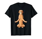 Witziges Yoga Hund Steirische Rauhhaarbracke T-Shirt