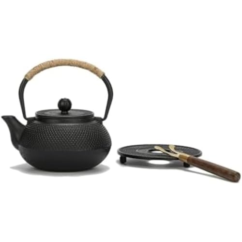 鉄瓶 鉄器 急須 南部鉄器 やかん 鉄びん 鉄の急須 ケトル 鉄 ih直火 対応 茶こし付き 壊れないの おしゃれ 鉄分補給 ティーポット 伝統工芸品 で家庭で楽しむ ティーセット ガス電気コンロ 炭火 調理器具 直火対応