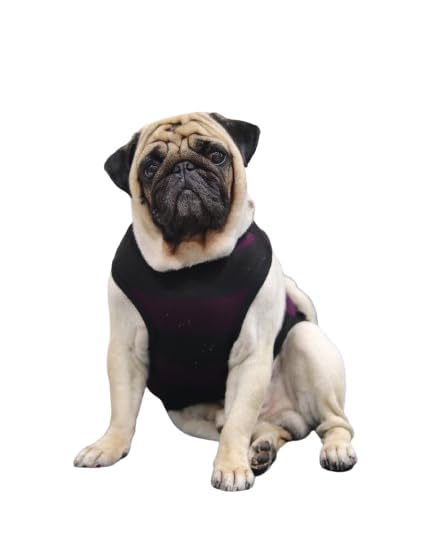 See full amazon price history chart for Dog T Shirt Sleeveless Muscle Tee Sando Vest for Dogs and Cats (Wine, XS) Dog T Shirt Sleeveless Muscle Tee Sando Vest for Dogs and Cats (Wine, XS) (B0DFM5BZQT) Amazon Price History, Amazon Price Tracker
