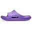 Edo Purple/Black