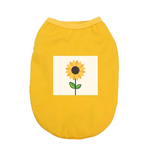 [XANPYO] ybg  tVc Ȑ Ȃ ʋC t H 5XL _炩 Vc ^ L   X|[c UoEFA CG[ tĕ hbOEFA xXg Ăh Eѕی U