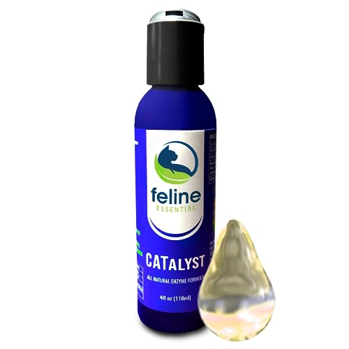 Find The Best Digestive Enzymes For Cats Reviews & Comparison Katynel