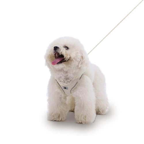 SMALL COMBINATION Set di pettorina e guinzaglio per cani di taglia piccola e media, regolabile, riflettente, per cuccioli e gatti, chihuahua, Yorkies, passeggiate all'aperto (beige, XS)