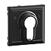 Produktbild LEGRAND, SEANO Abdeckung für Schlüsselschalter 0  1 mit DIN-Halbzylinder, Farbe: Schwarz lackiert, 765333