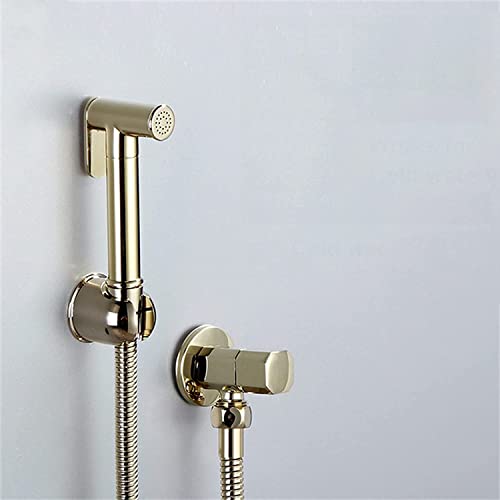 Robinet d'eau froide unique avec vanne d'angle WC laiton
