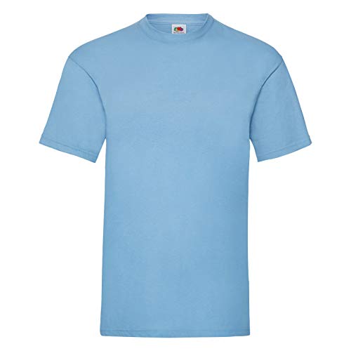 Fruit of the Loom Herren-T-Shirt, kurzärmlig, Grau, blau, L