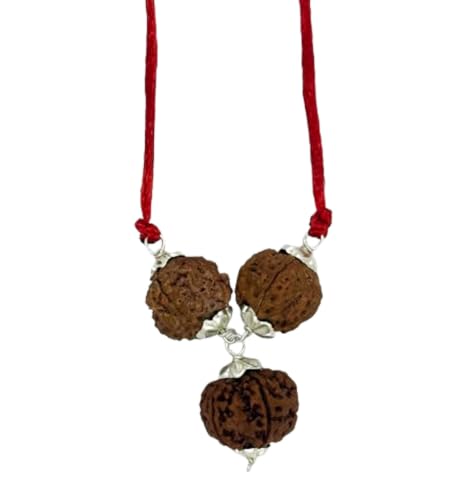 Image of Siddha Mukhi Pure Rudraksha, Laboratory Certified, Carefully Capped with Silver Between Nepalese Beads With Handmade Tassel, Size 16mm-22mm, Color-Brown-Saraswati Rudraksha Kawach Silver (4+4+6)