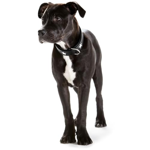 HUNTER MAGIC STAR Hundehalsband, mit Sternen, Leder, weich, 55 (M), schwarz