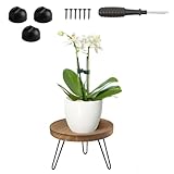 BUERPINKING Pflanzenständer Holz, Pflanzenhocker Holz Klein, Blumenbank für...