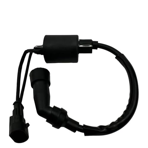 Bobine d'allumage de moto et CDI 2 broches pour stabiliser le ralenti de votre Zongshen