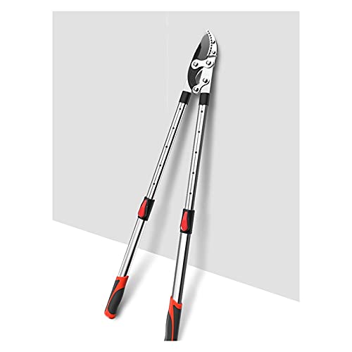 Cortasetos de Altura Stihl Marca OLSKFUH