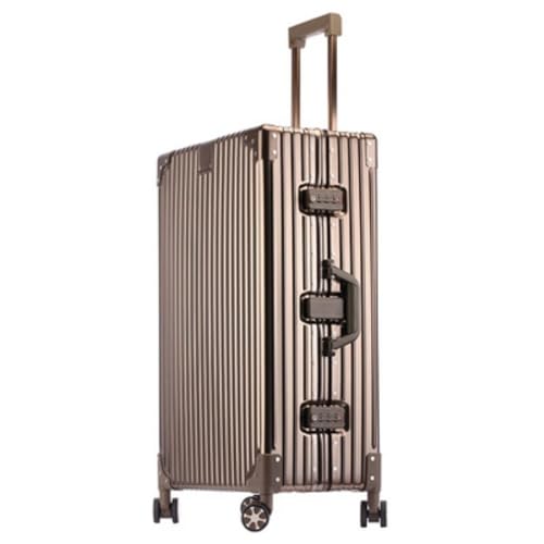 [ZVTW] X[cP[X I[A~ L[P[X A~jE{fB lp TSAbN 360x] É_uLX^[ @ yʑe ϏՌ COs o (S[hit@bViuj,S/45L)