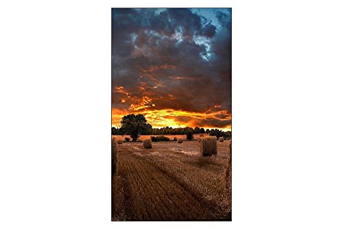 Samsung SAMSUNG 46 VM46B U - vue 6