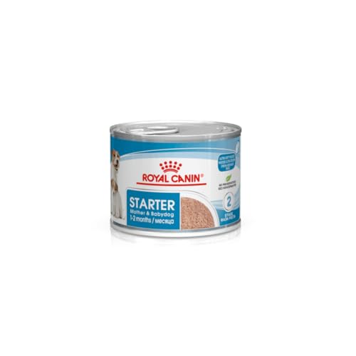 Royal Canin Mini Starter Complete Wet Food for Mother & Babydog 12 x 195g