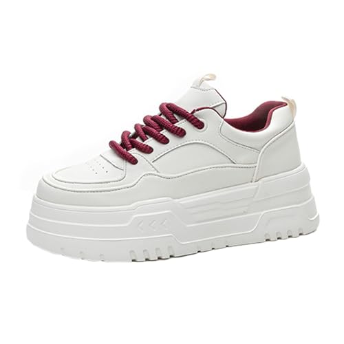 [JUI3N] fB[X Xm[V[Y hC N H~ 24.5cm ItBX 傫TCY JWA ʋ ʊw ₷ ꂢ [Nu[c   Xj[J[ {A C Xm[u[c AEghA ~ r C wlC 
