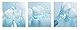 Panasonic WEW0982X503 Ersatzdüse WEW0982X503 (2er Pack) für Munddusche EW1611, Original-Zubehör