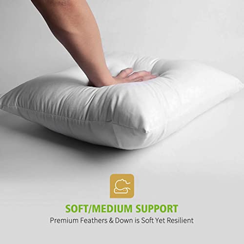 Topgreen Goose Feather Throw Pillow Inserts 2 Pack | 16X16 Square Deco Pillow For Bed, Sofa, And Couch | 100% Cotton Shell, Soft Medium Decorative Pillow Core Set Of 2 (White) #TOP2
