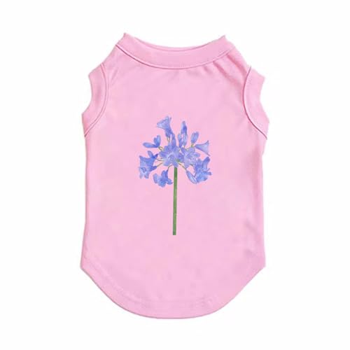 [QINTIW]  t ^Ngbv sN TVc I[V[Y   Ȃ 킢 o| L ybgEFA hbOEFA ybg ^ ^ ̕ ₷ Vc ʋC ėp  XL