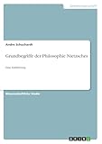  Grundbegriffe der Philosophie Nietzsches: Eine Einführung